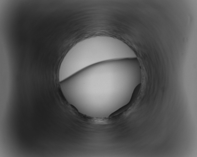 X0000100400528200806060857