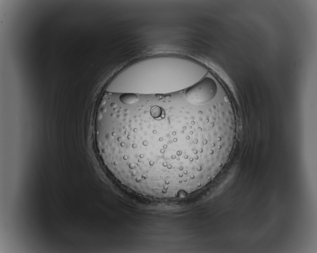 X0000100400529200806060856