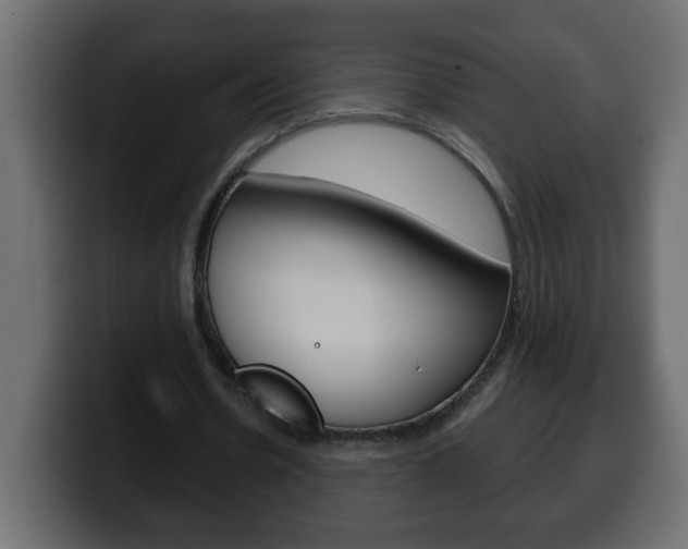 X0000100400530200806060856