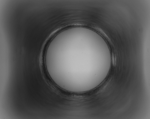 X0000100400531200806060856