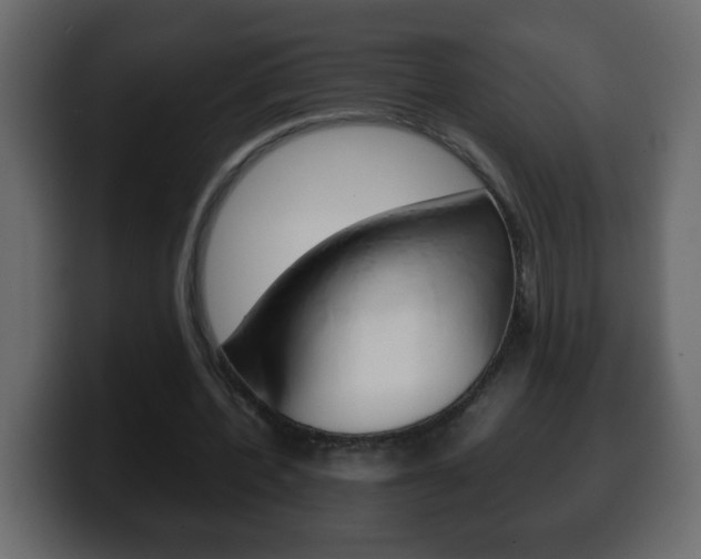 X0000100400532200806060856