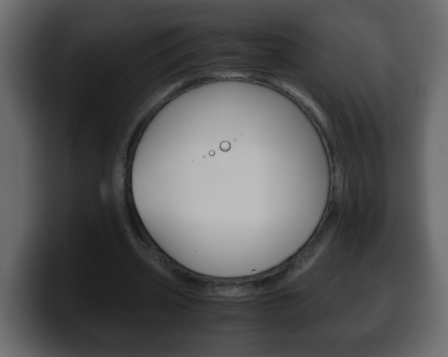X0000100400533200806060856