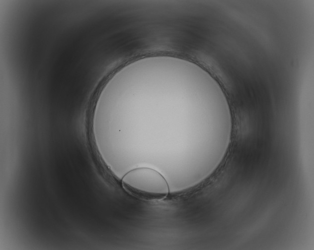 X0000100400534200806060856