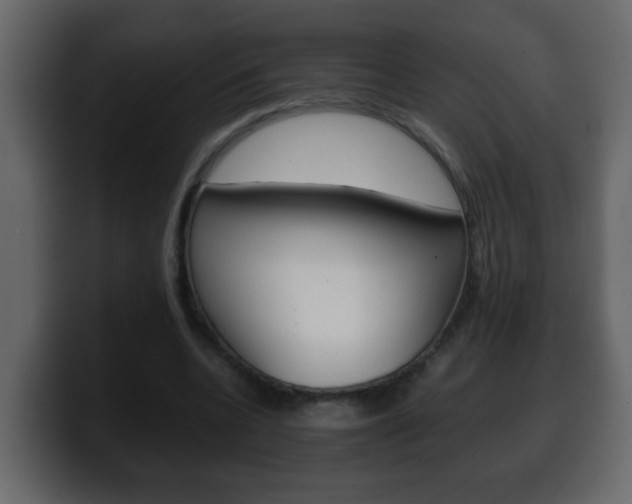 X0000100400536200806060856