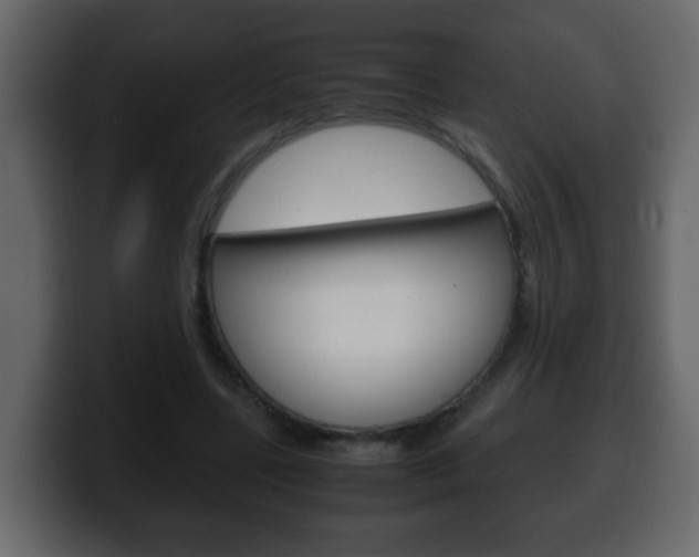 X0000100400539200806060856