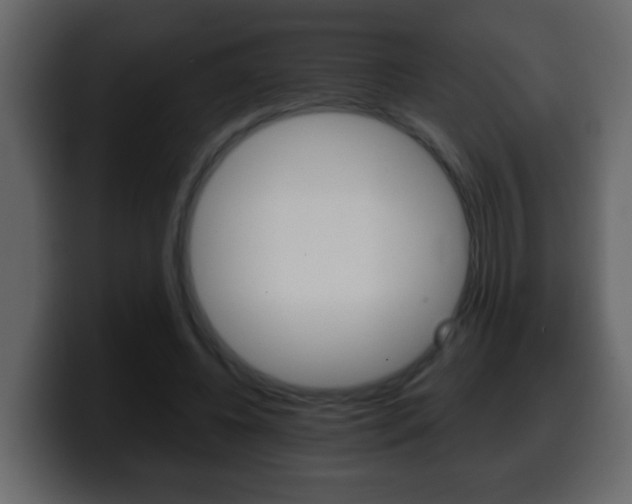 X0000100400540200806060856