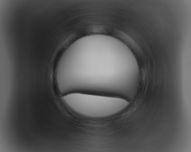 X0000100400542200806060856