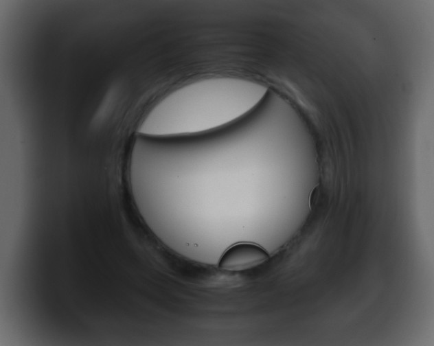 X0000100400543200806060856