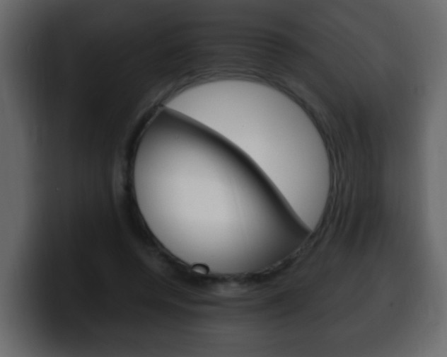 X0000100400544200806060856
