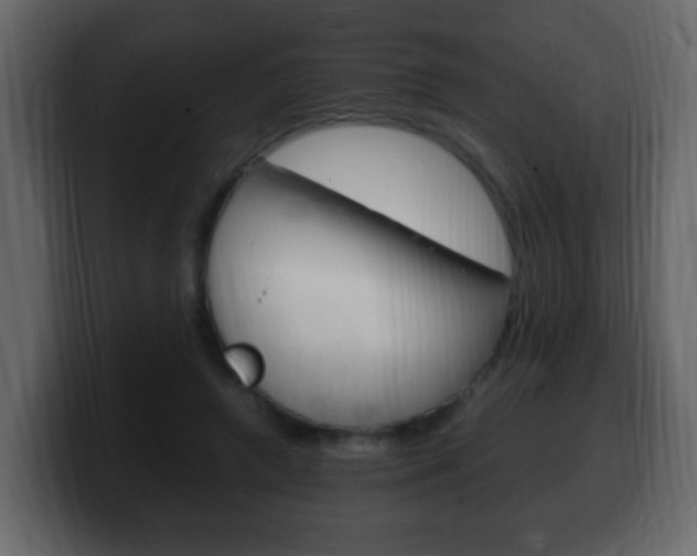 X0000100400546200806060856