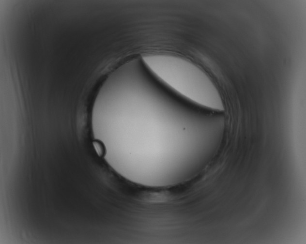 X0000100400548200806060856
