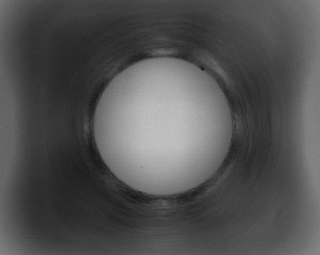 X0000100400549200806060856