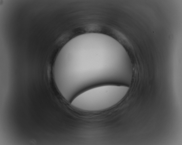 X0000100400550200806060856