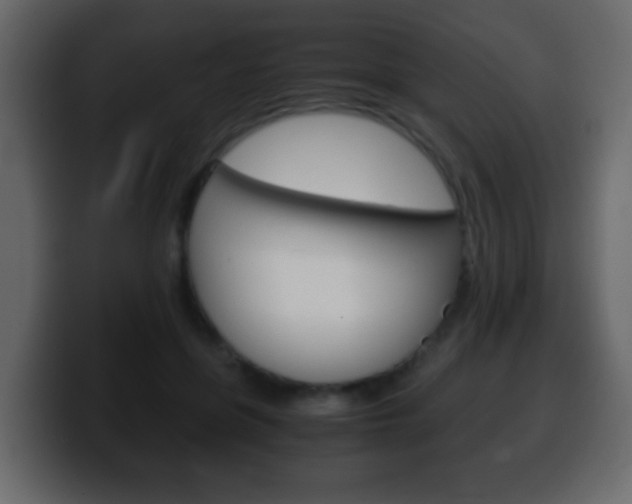 X0000100400551200806060856
