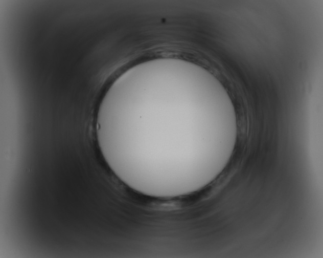 X0000100400553200806060856