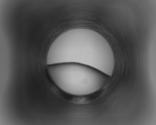 X0000100400554200806060856