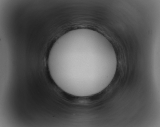 X0000100400555200806060856