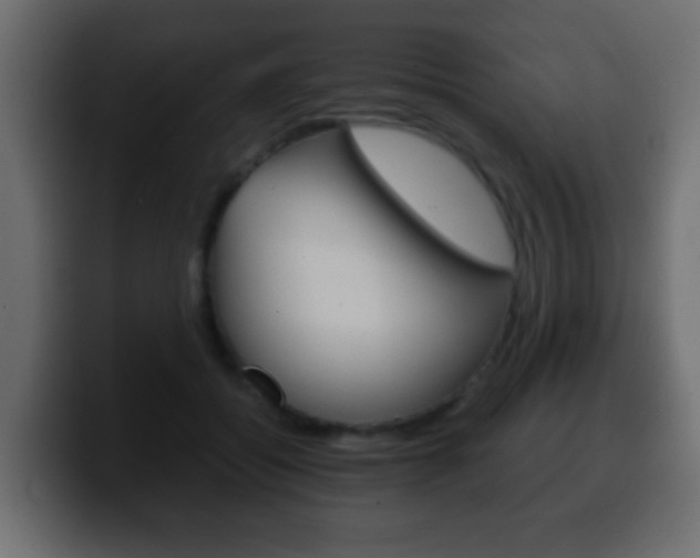 X0000100400556200806060856