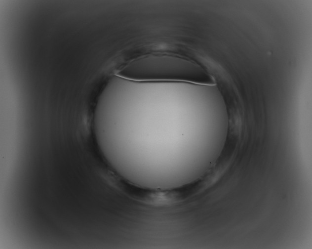 X0000100400558200806060856