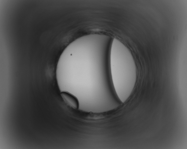 X0000100400559200806060856