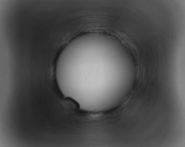 X0000100400560200806060856