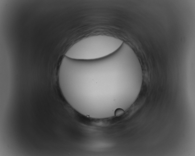 X0000100400561200806060856