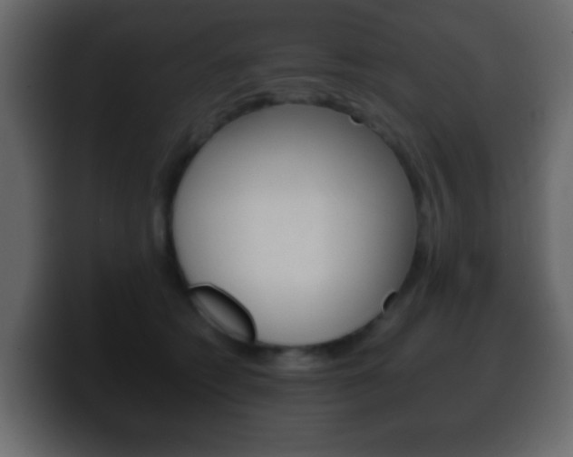 X0000100400562200806060856
