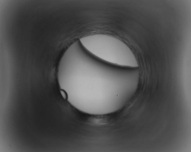 X0000100400563200806060856