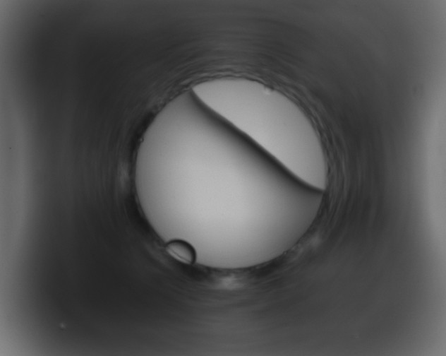 X0000100400564200806060856