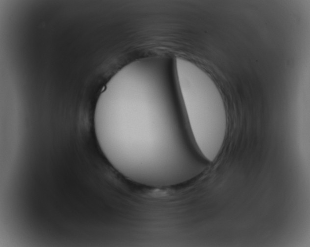 X0000100400566200806060856