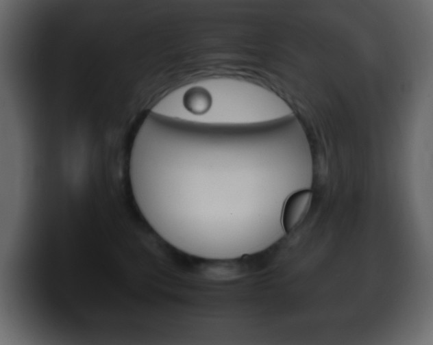 X0000100400567200806060856
