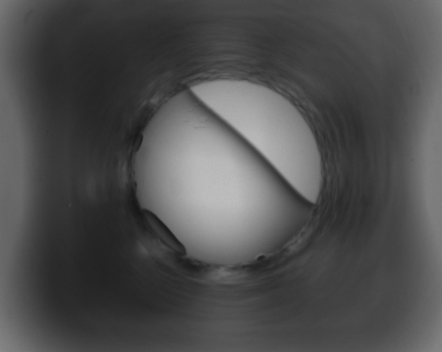 X0000100400568200806060856