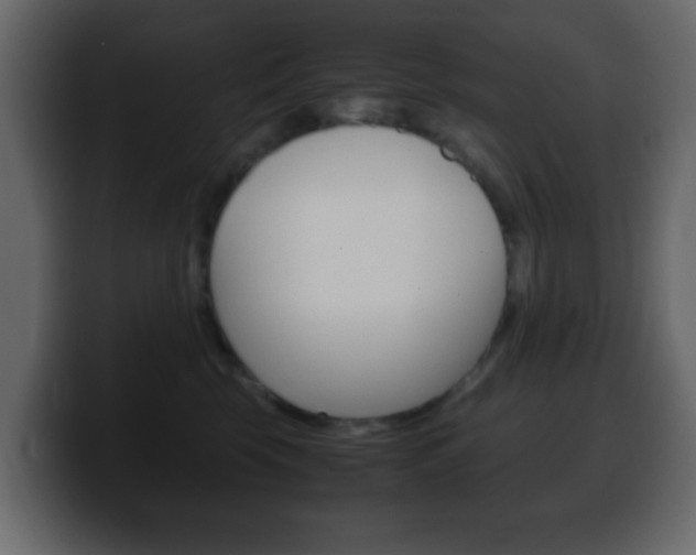 X0000100400569200806060856