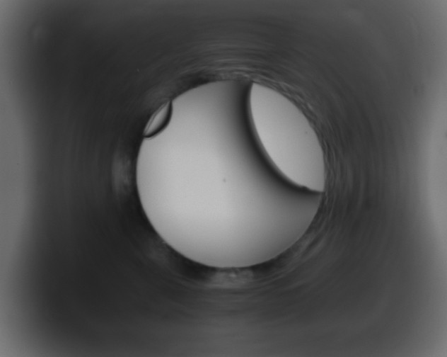 X0000100400571200806060857
