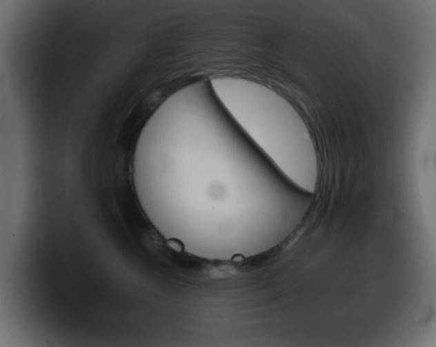 X0000100400572200806060857