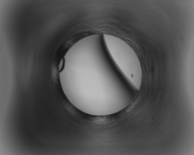 X0000100400574200806060857