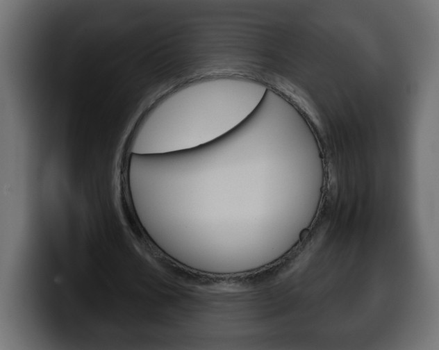 X0000100400578200806060856