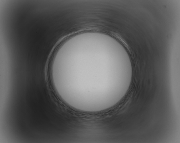 X0000100400579200806060856