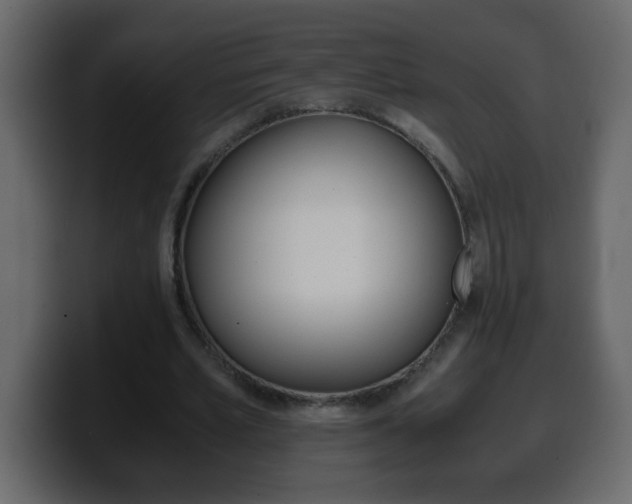 X0000100400581200806060856