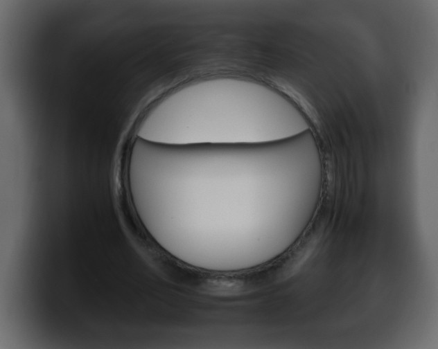 X0000100400582200806060856