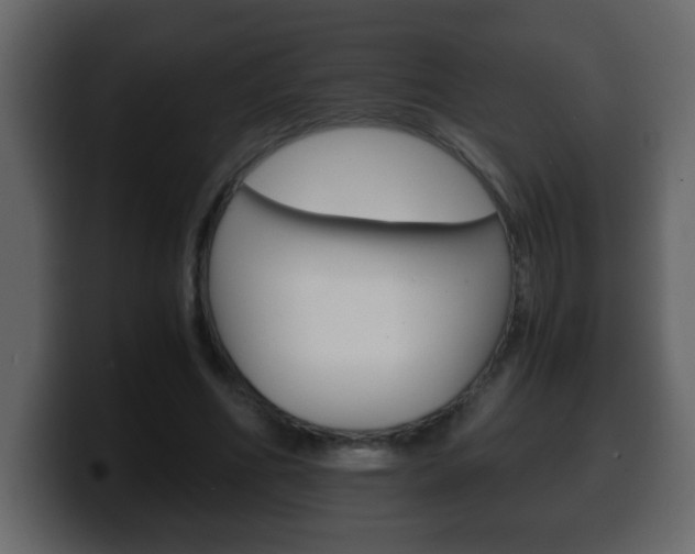 X0000100400586200806060856