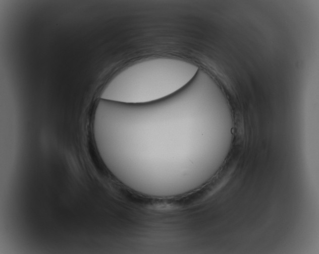 X0000100400590200806060856