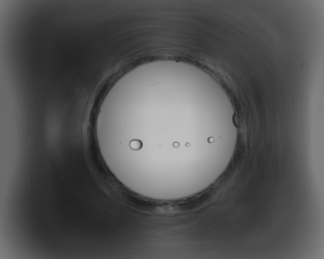 X0000100400591200806060856