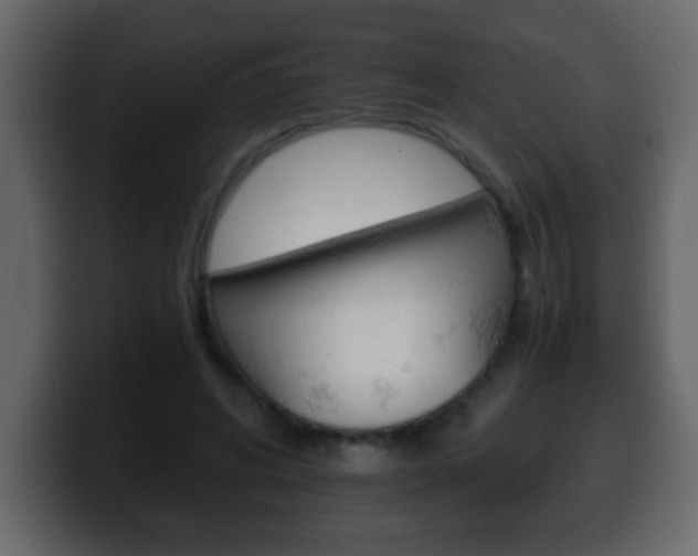 X0000100400592200806060856
