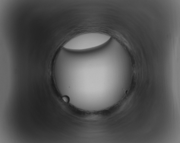 X0000100400593200806060856