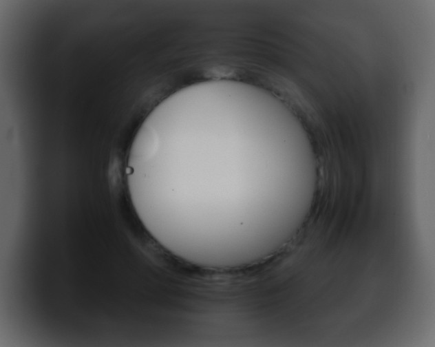 X0000100400598200806060856