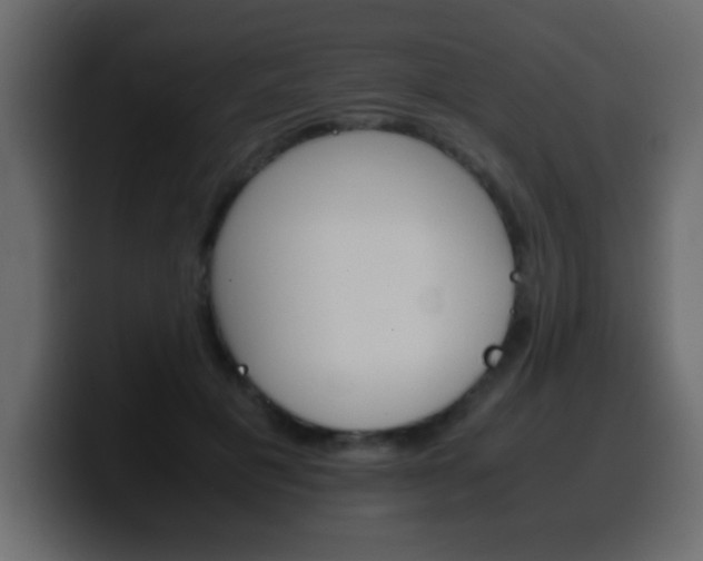 X0000100400601200806060856