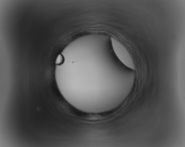 X0000100400605200806060856