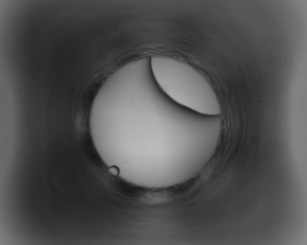 X0000100400606200806060856
