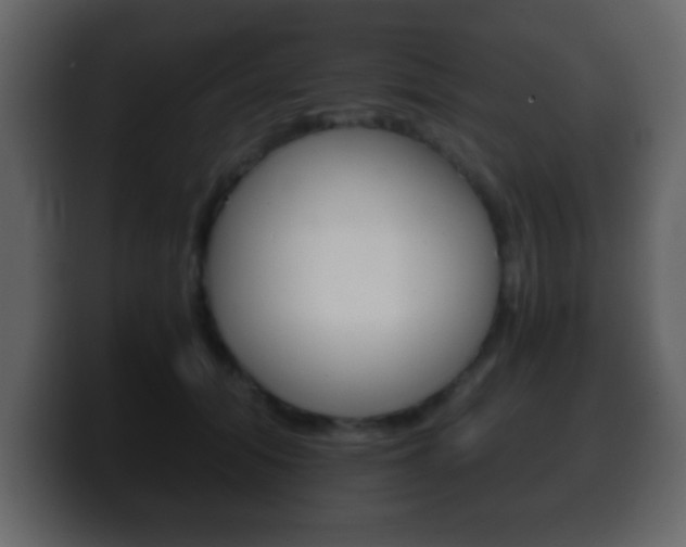 X0000100400608200806060856